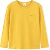 Gold Yellow