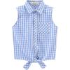 Blue Check Gingham