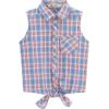 Plaid Red Blue