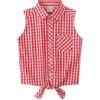 Red Check Gingham