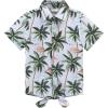 White Coconut Tree
